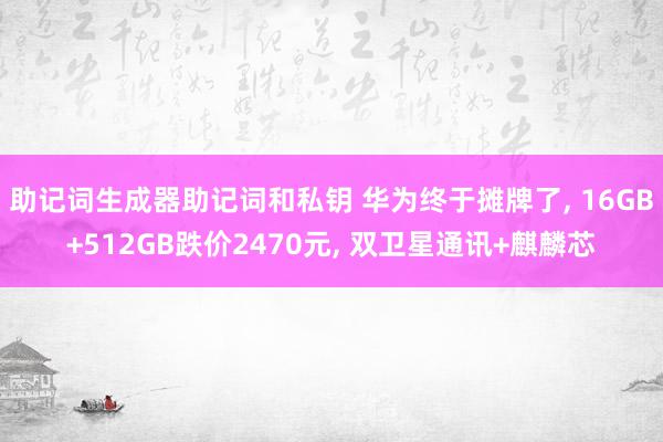 助记词生成器助记词和私钥 华为终于摊牌了, 16GB+512GB跌价2470元, 双卫星通讯+麒麟芯